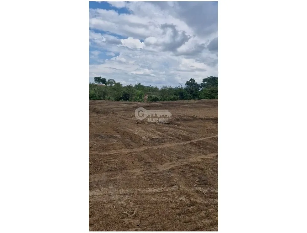 TERRENO / TOCUMEN / LAS MAÑANITAS / 15,000M / PLANO / INVERSION
