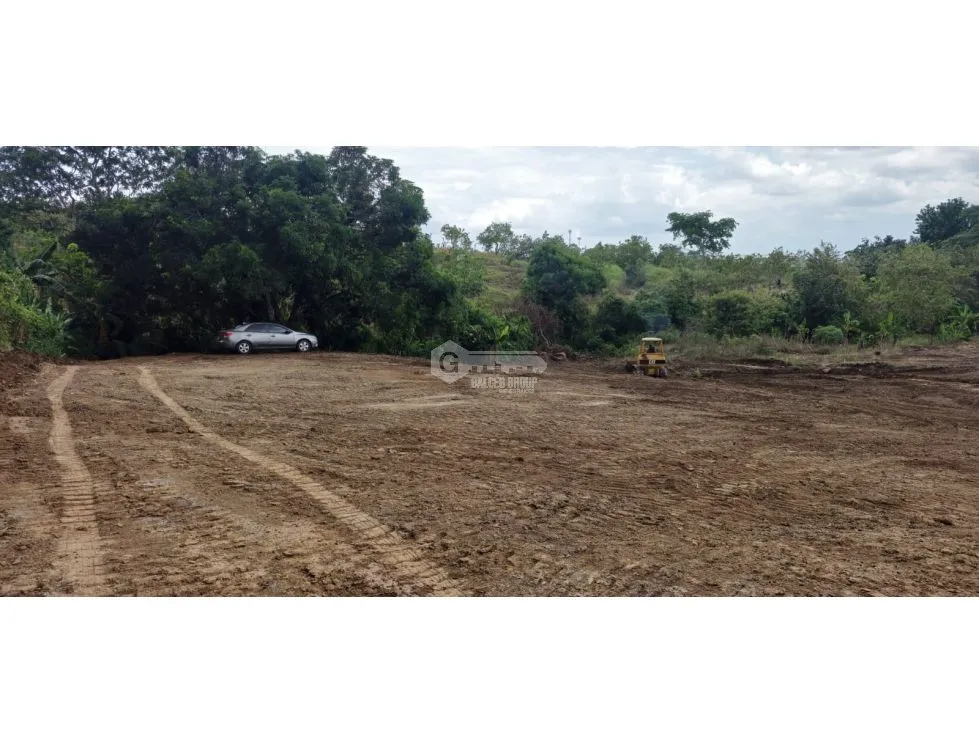 TERRENO / TOCUMEN / LAS MAÑANITAS / 15,000M / PLANO / INVERSION
