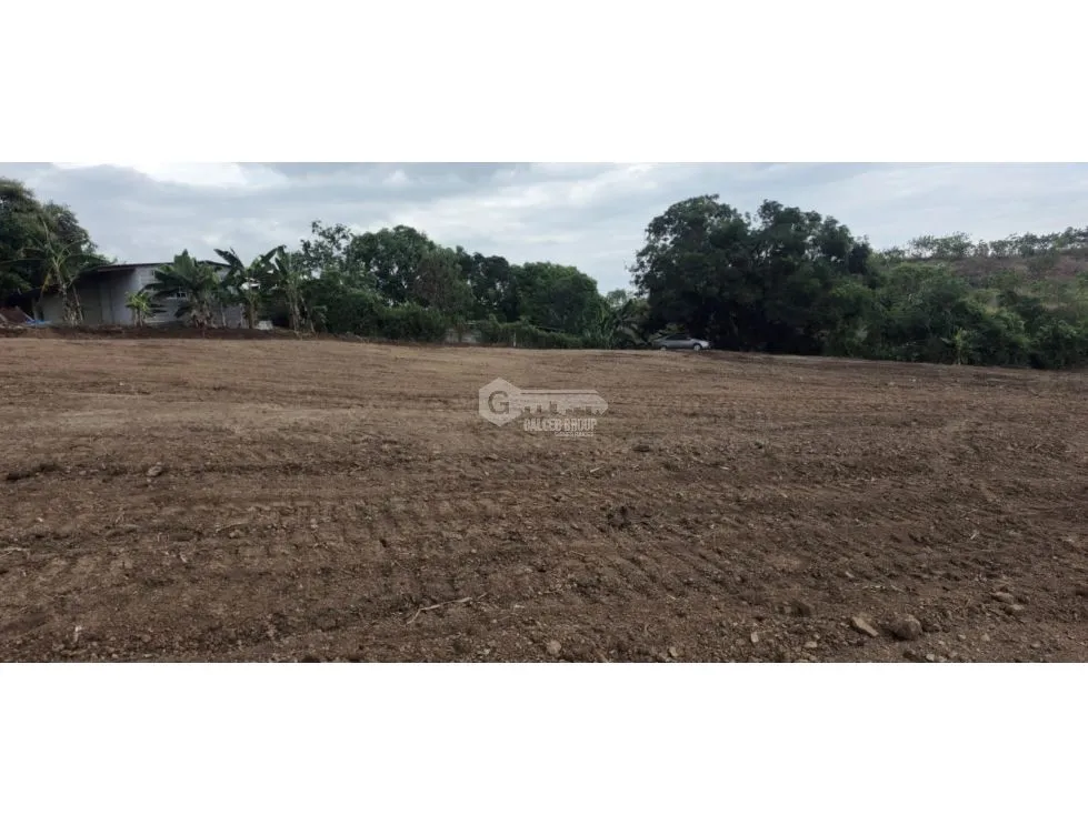 TERRENO / TOCUMEN / LAS MAÑANITAS / 15,000M / PLANO / INVERSION