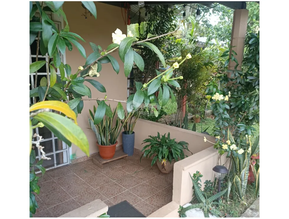 屋 在 Chorrera 出售