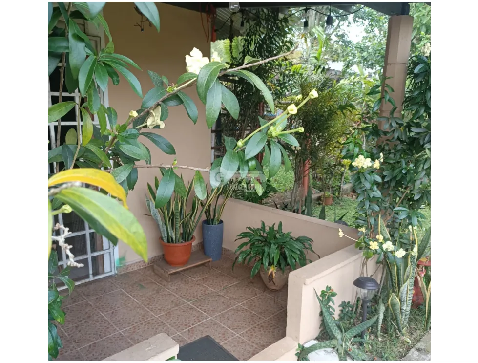 屋 在 Chorrera 出售