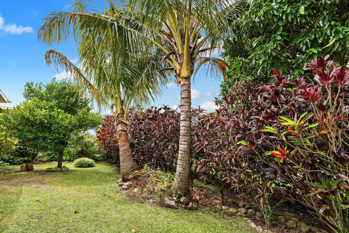 Charming 2-Bedroom Home in Oriana Alto Boquete
