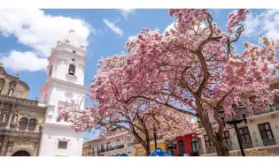 Exclusive Commercial Spaces for Rent at Santa Teresita Living, Casco Antiguo