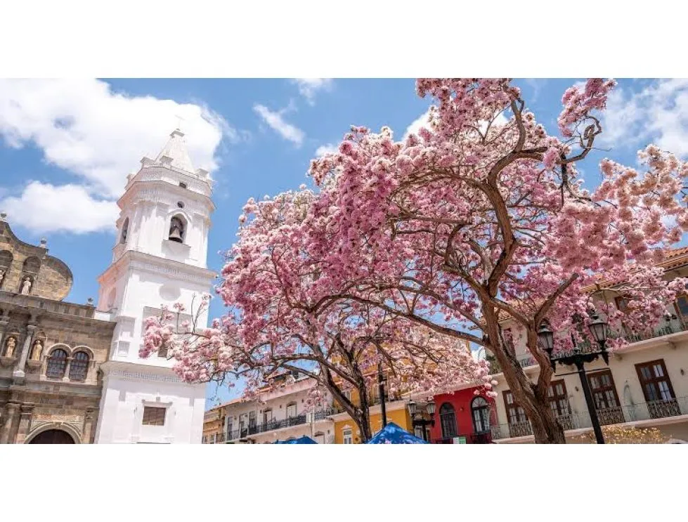Коммерческое пространство в Casco Viejo в аренду