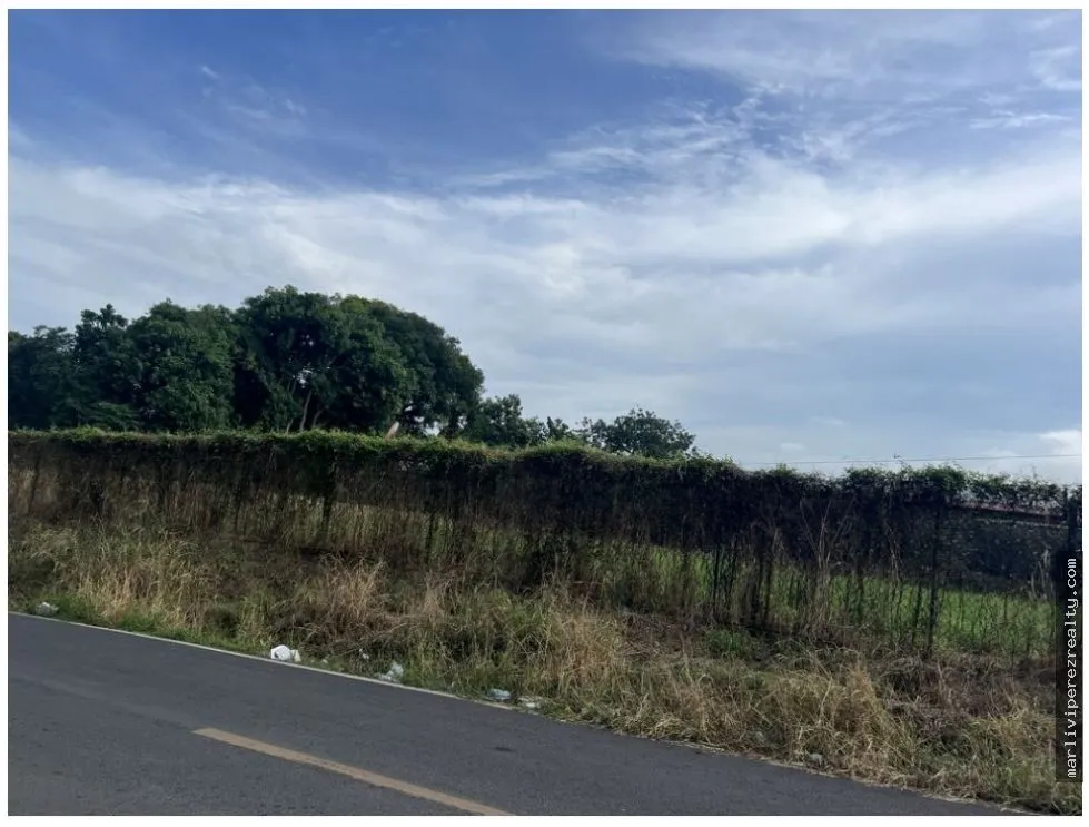 SE VENDE TERRENO EN PEDREGAL (CIUDAD DE PANAMA)