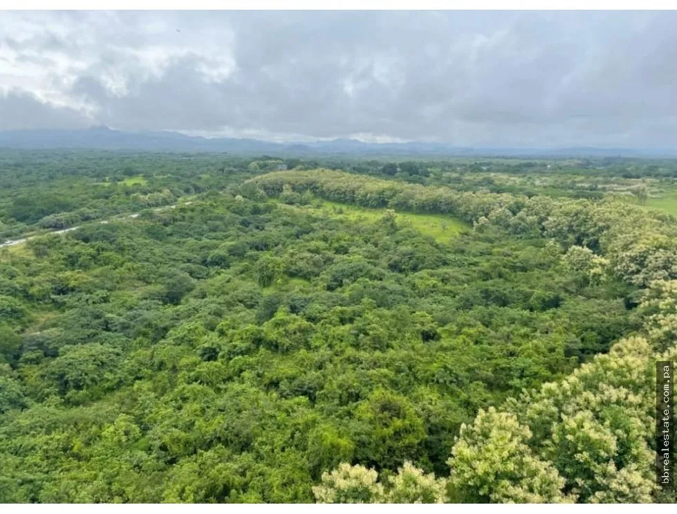 JUNIOR PENTHOUSE FOR SALE | PH LAS OLAS II – VISTA MAR, SAN CARLOS