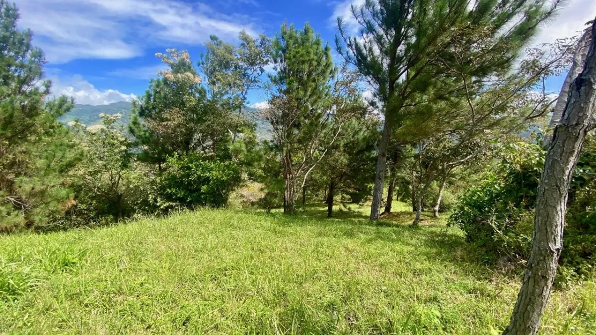 LAND WITH VIEWS AND SMALL HOUSE