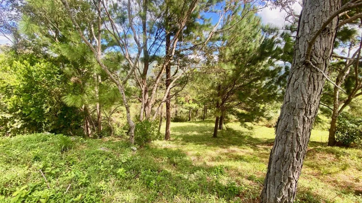LAND WITH VIEWS AND SMALL HOUSE