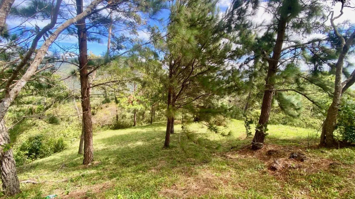 LAND WITH VIEWS AND SMALL HOUSE