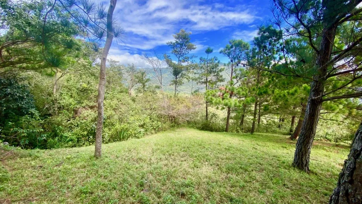 LAND WITH VIEWS AND SMALL HOUSE