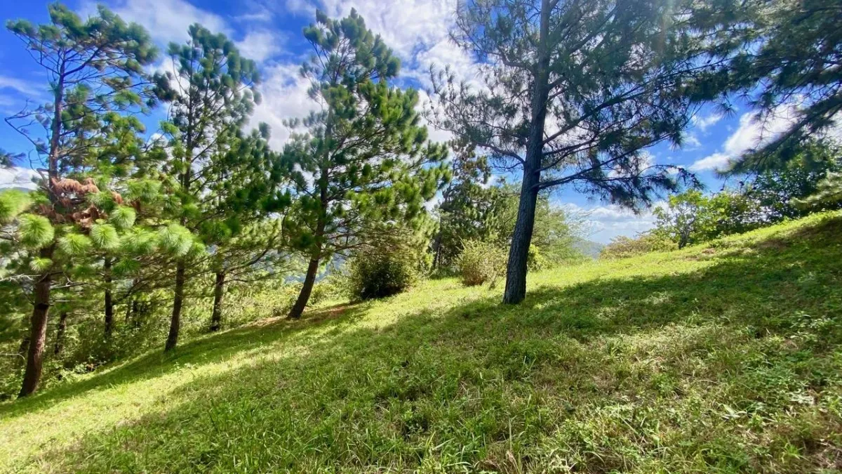 LAND WITH VIEWS AND SMALL HOUSE