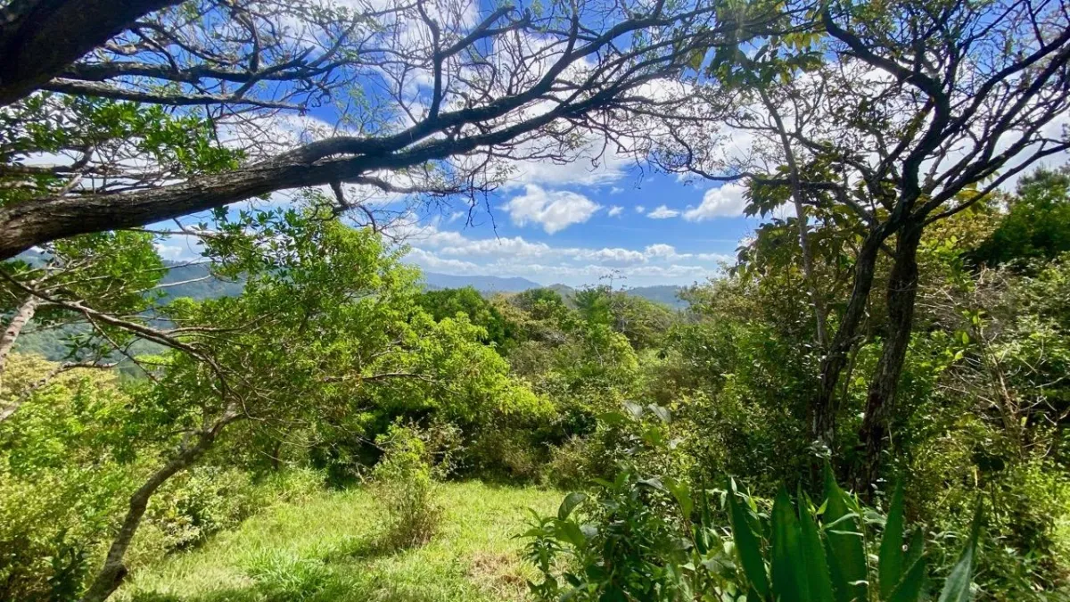 LAND WITH VIEWS AND SMALL HOUSE
