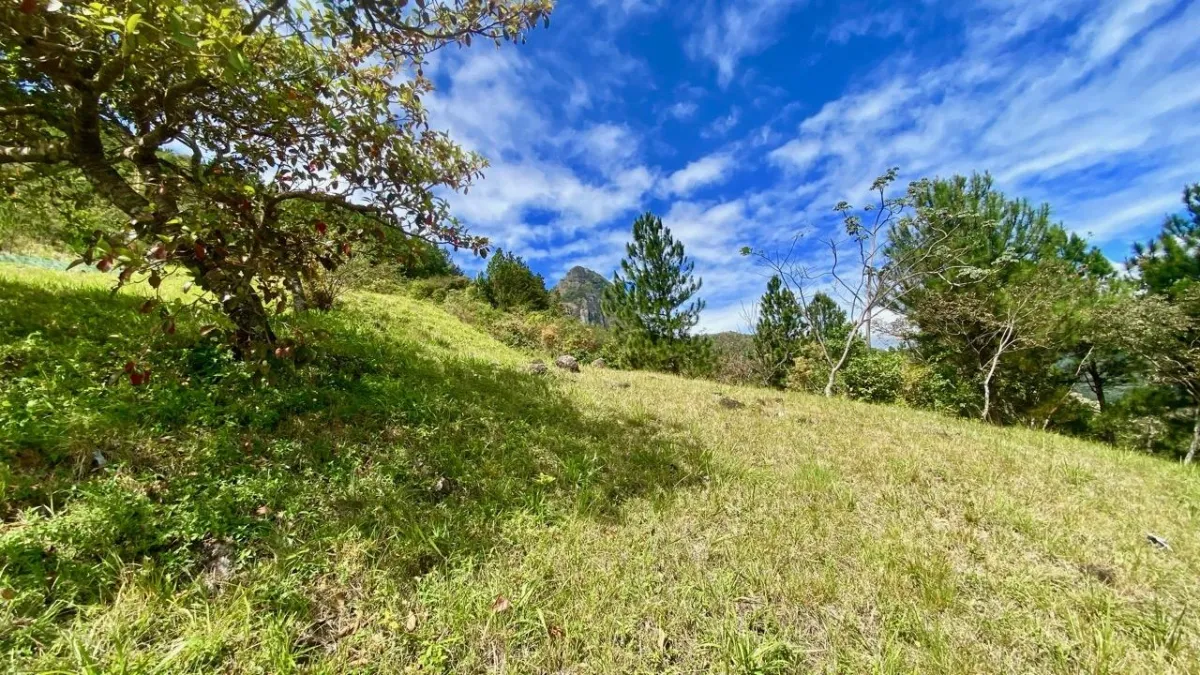 LAND WITH VIEWS AND SMALL HOUSE