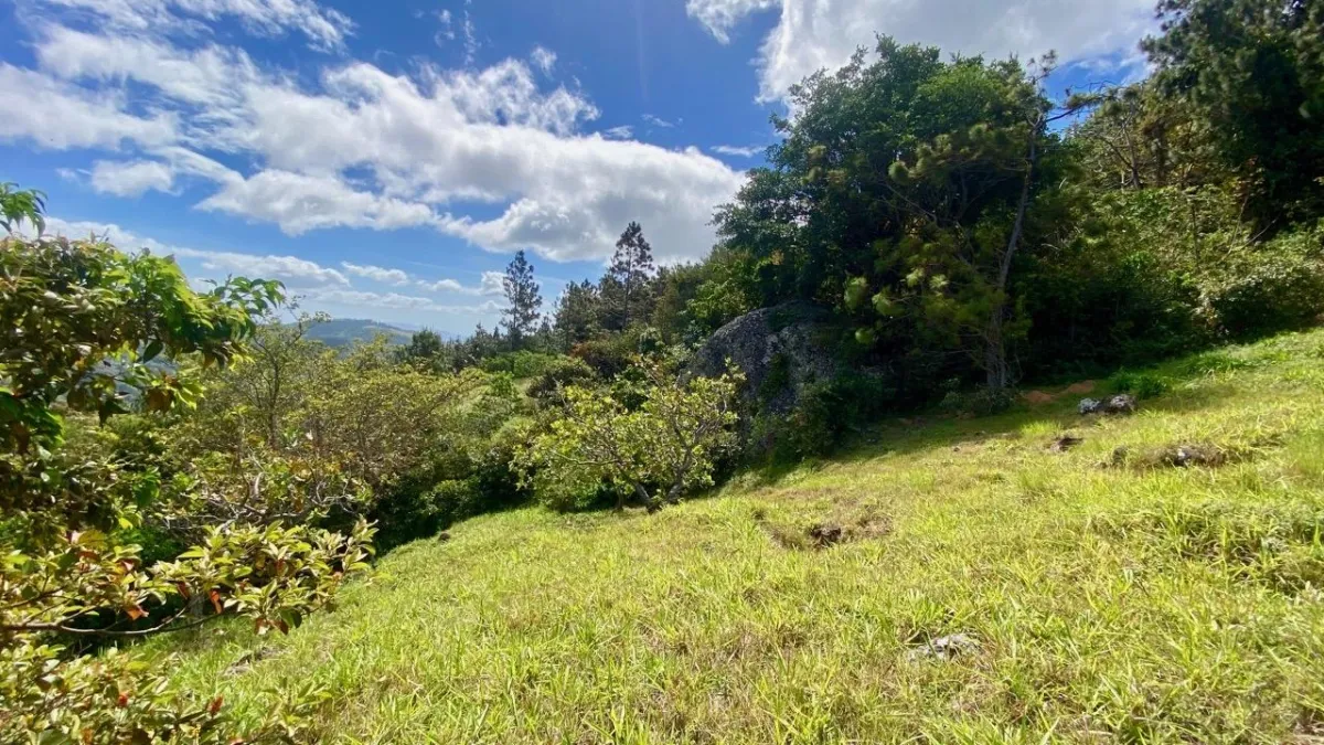 LAND WITH VIEWS AND SMALL HOUSE