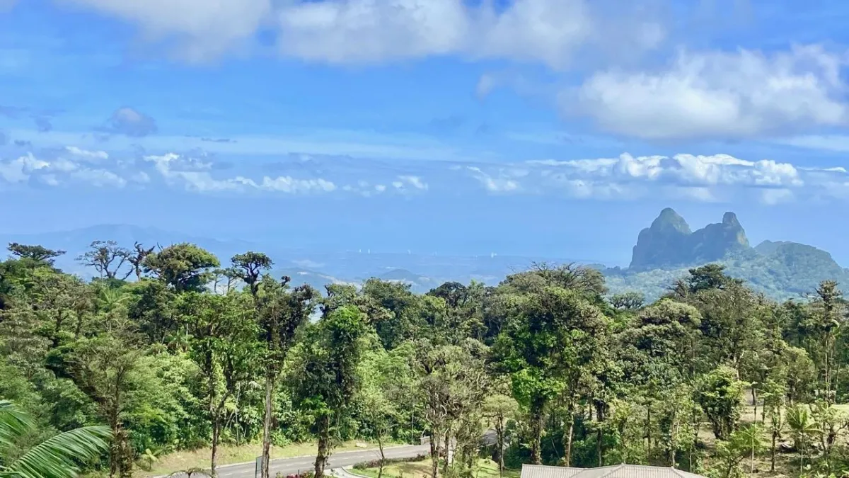 LARGE LAND READY TO BUILD