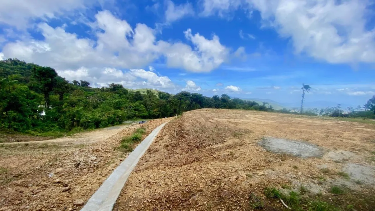 LARGE LAND READY TO BUILD