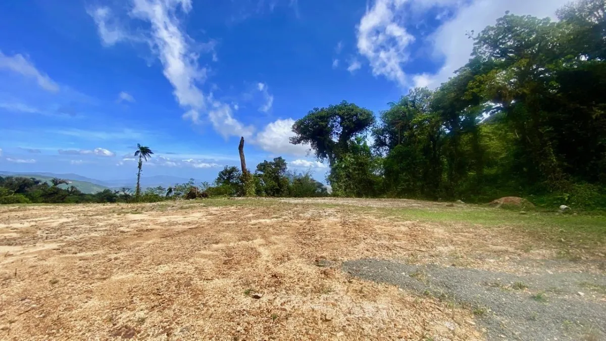 LARGE LAND READY TO BUILD