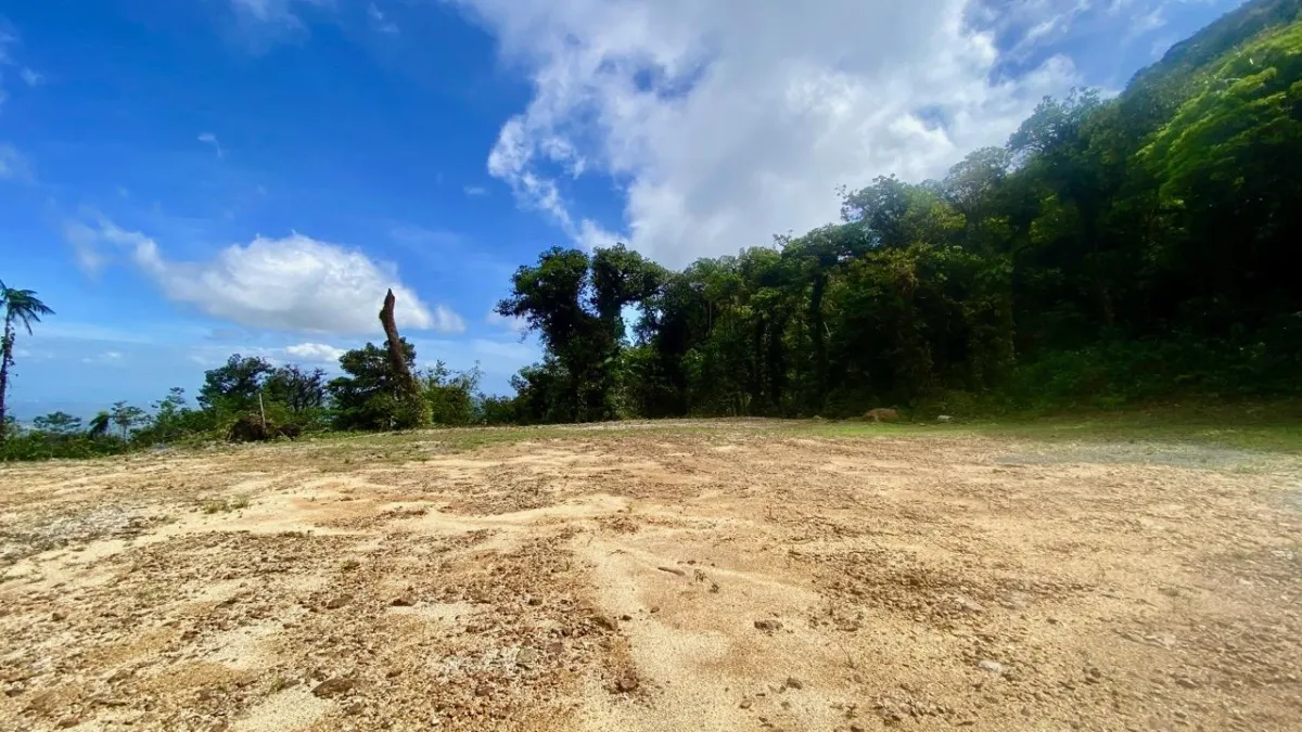 LARGE LAND READY TO BUILD