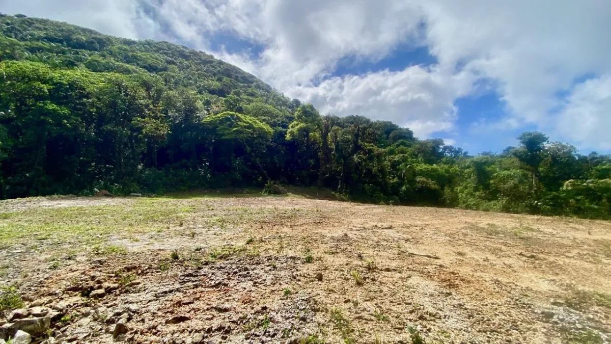 LARGE LAND READY TO BUILD
