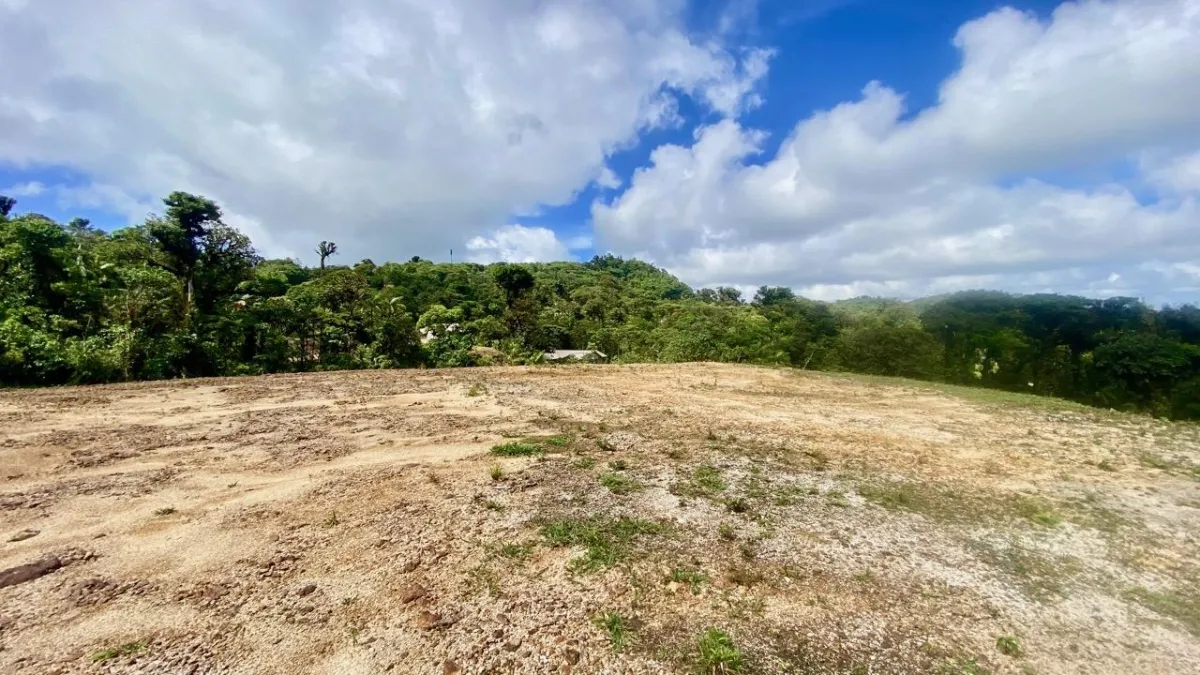 LARGE LAND READY TO BUILD