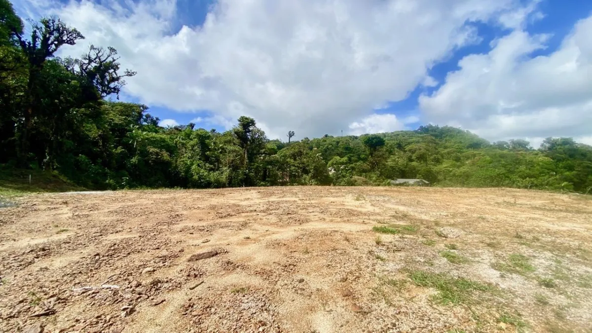 LARGE LAND READY TO BUILD