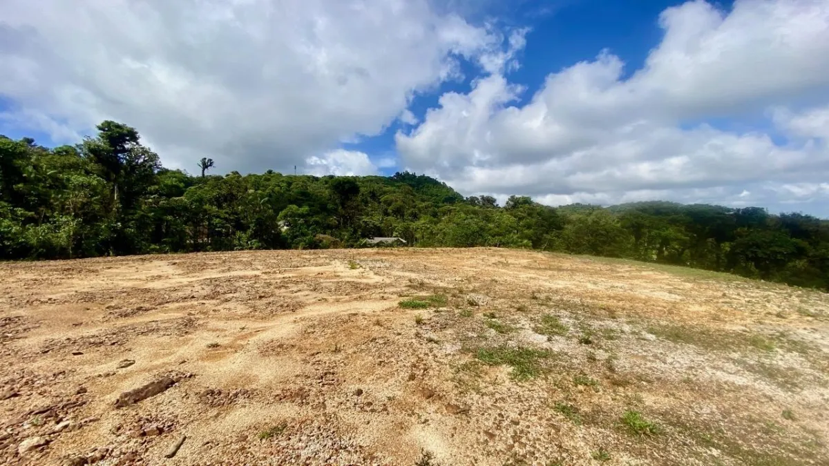 LARGE LAND READY TO BUILD