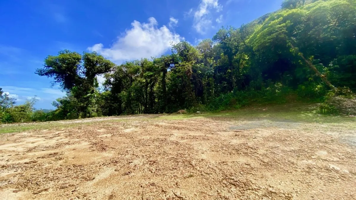 LARGE LAND READY TO BUILD