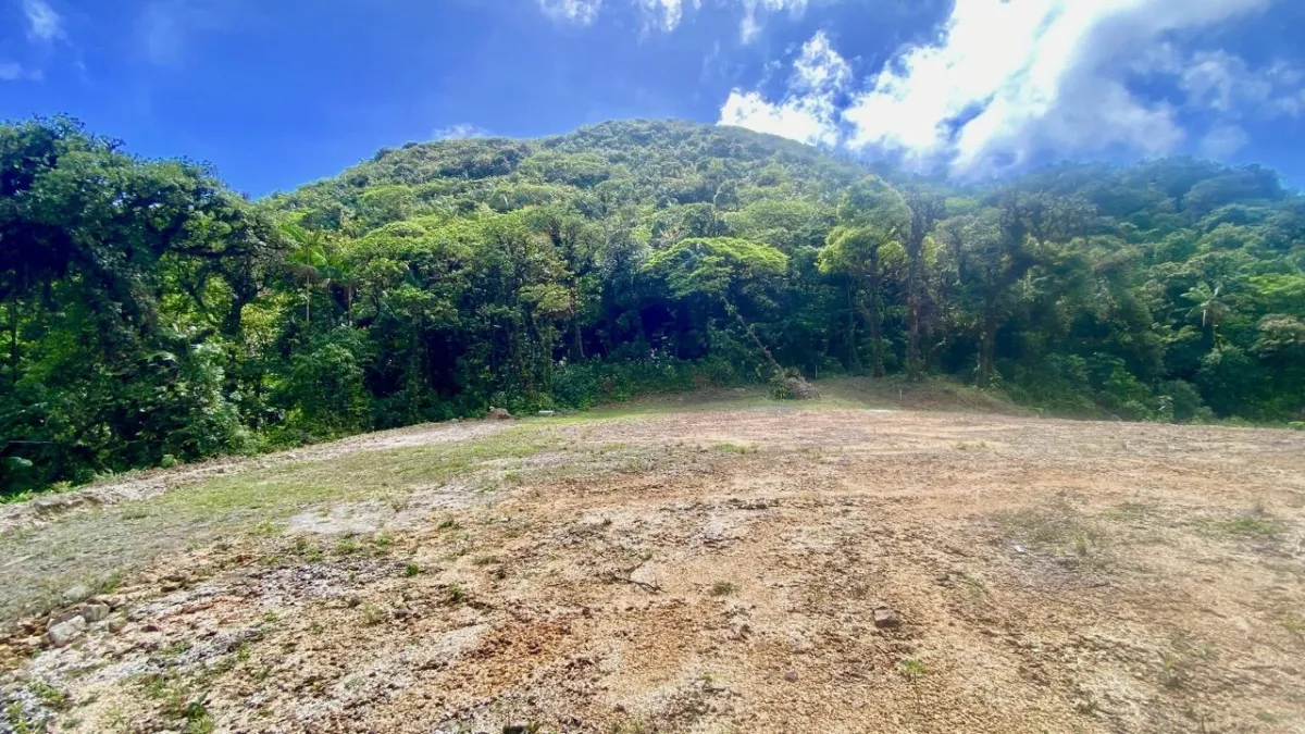 LARGE LAND READY TO BUILD