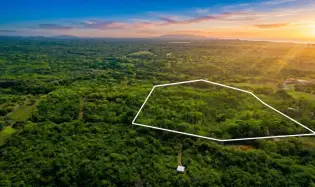 Over 17 Acres of Reforested Land With Riverfront
