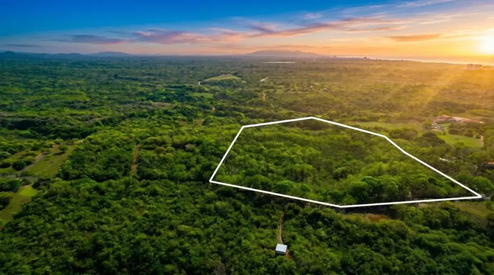 Over 17 Acres of Reforested Land With Riverfront
