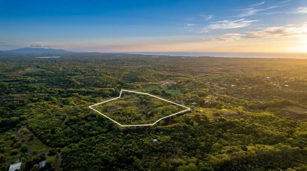 Over 17 Acres of Reforested Land With Riverfront