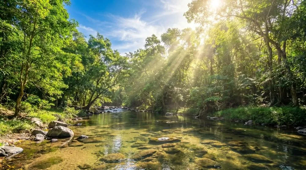 Over 17 Acres of Reforested Land With Riverfront