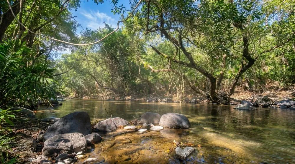 Over 17 Acres of Reforested Land With Riverfront