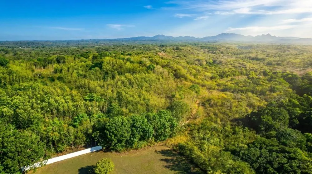 Over 17 Acres of Reforested Land With Riverfront