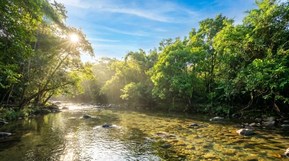 Over 17 Acres of Reforested Land With Riverfront