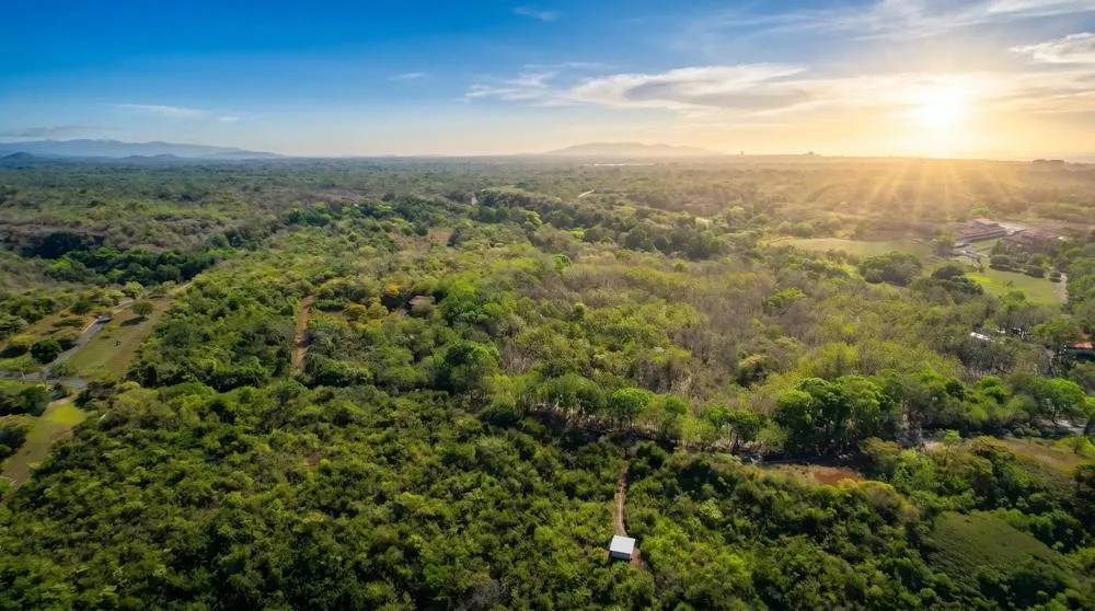 Over 17 Acres of Reforested Land With Riverfront