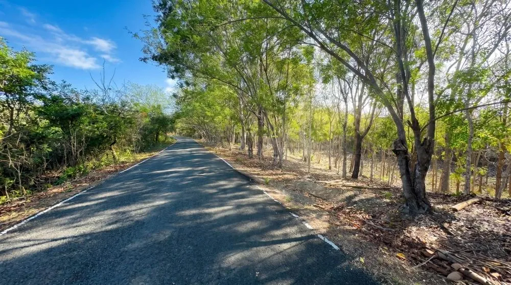 Over 17 Acres of Reforested Land With Riverfront