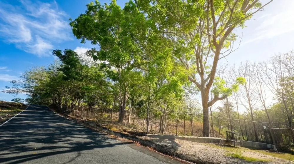 Over 17 Acres of Reforested Land With Riverfront