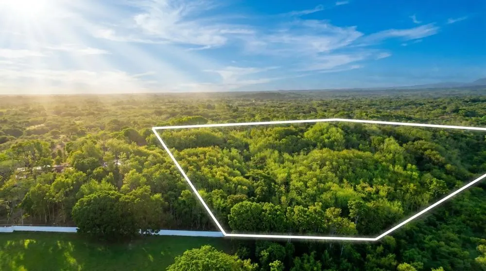 Over 17 Acres of Reforested Land With Riverfront