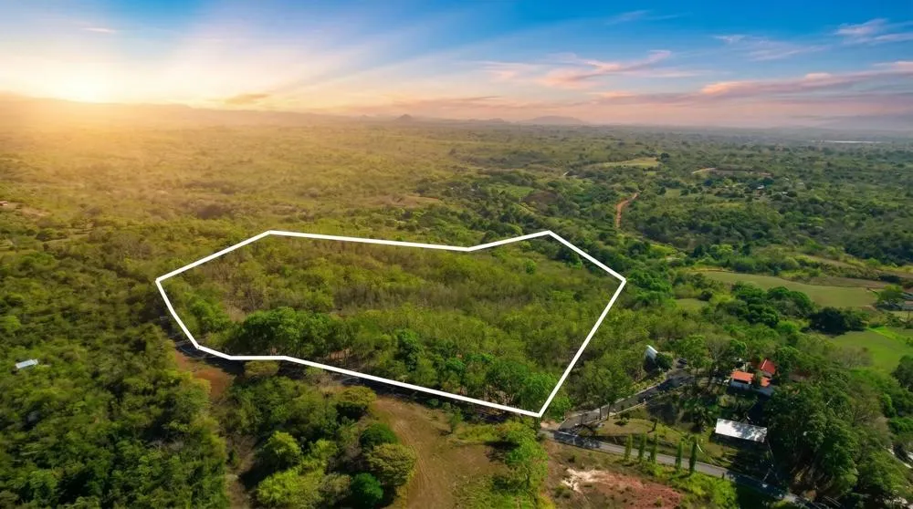 Over 17 Acres of Reforested Land With Riverfront