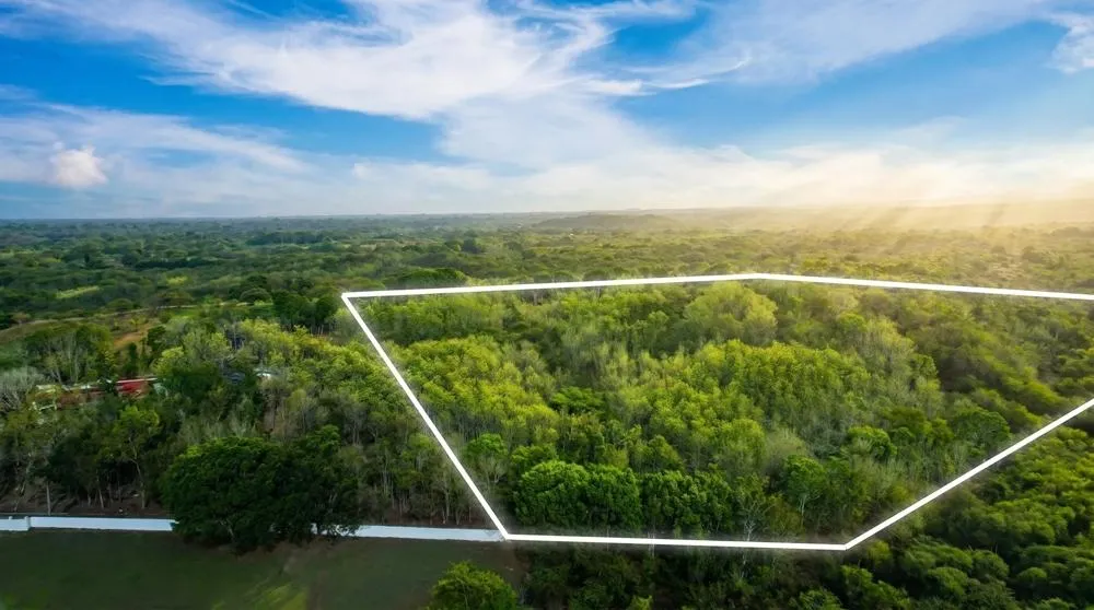 Over 17 Acres of Reforested Land With Riverfront