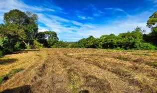 Residential Land in Volcán–Investment Opportunity