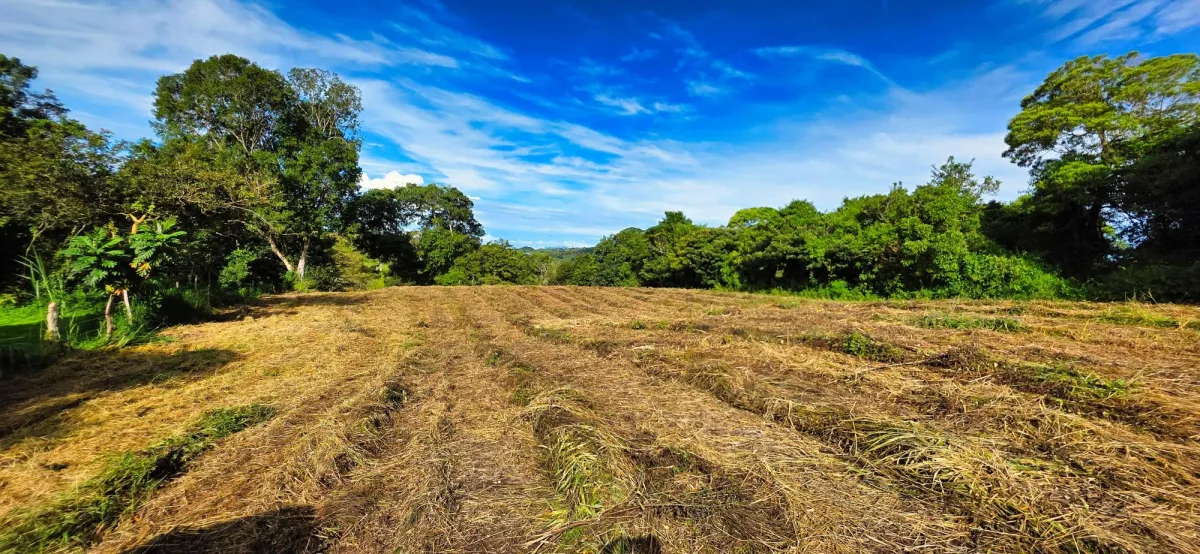 Residential Land in Volcán–Investment Opportunity