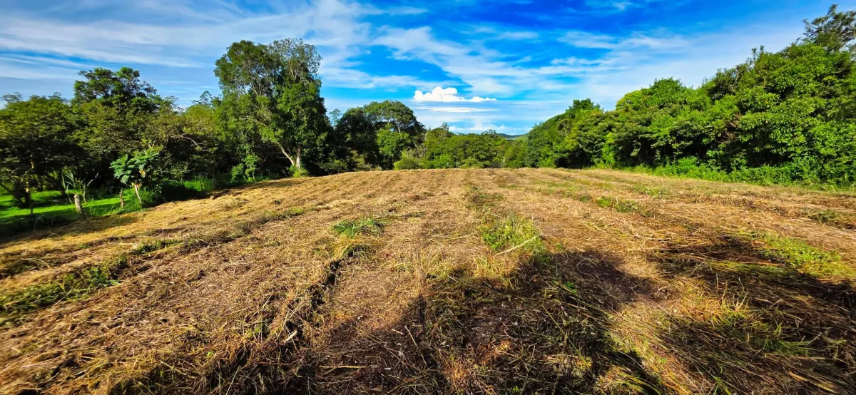 Residential Land in Volcán–Investment Opportunity
