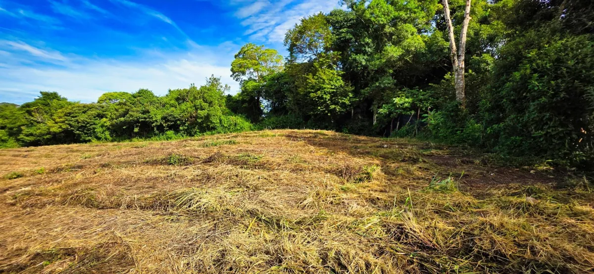 Residential Land in Volcán–Investment Opportunity