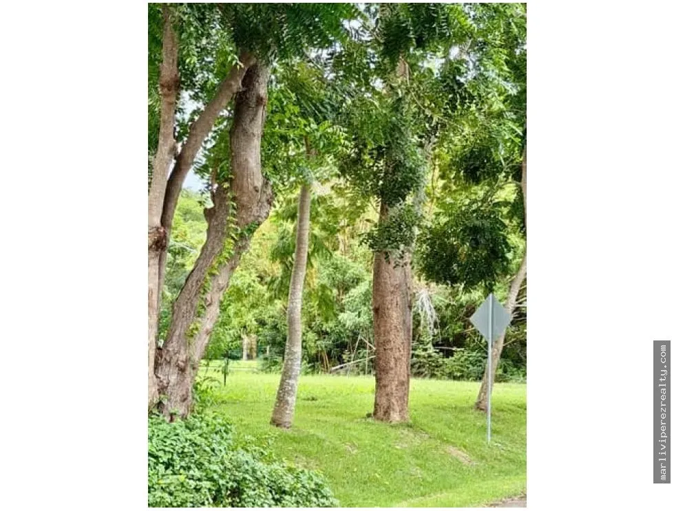 TERRENO EN VENTA – BUENAVENTURA, FARALLÓN