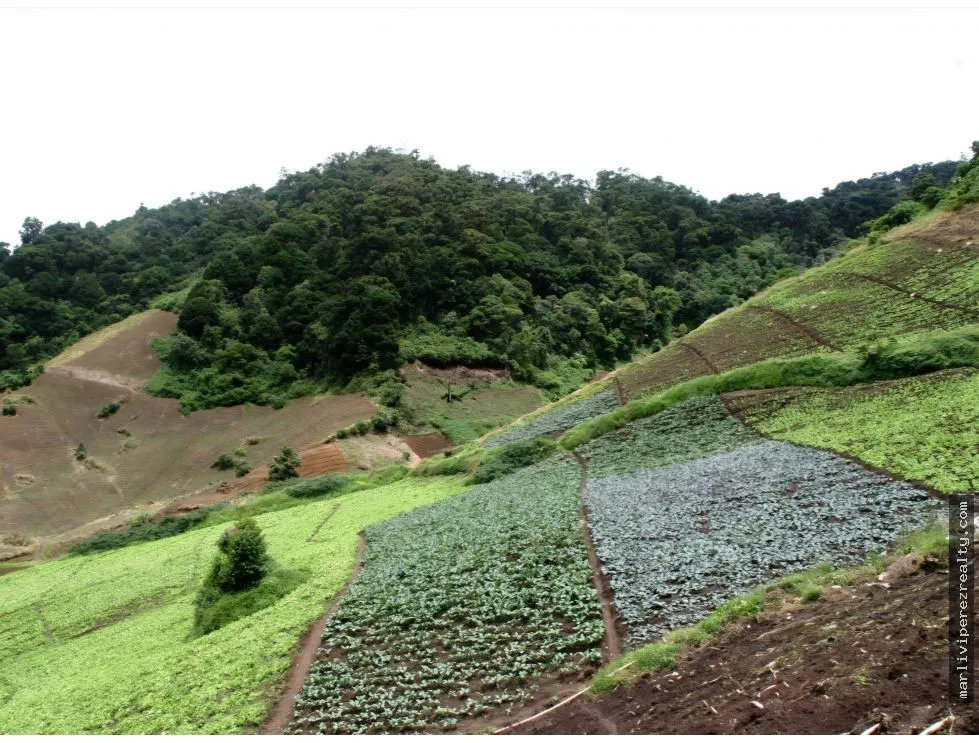 VENTA DE TERRENO PARA INVERSION
