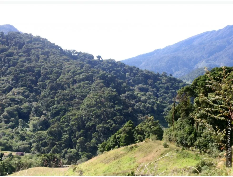 VENTA DE TERRENO PARA INVERSION