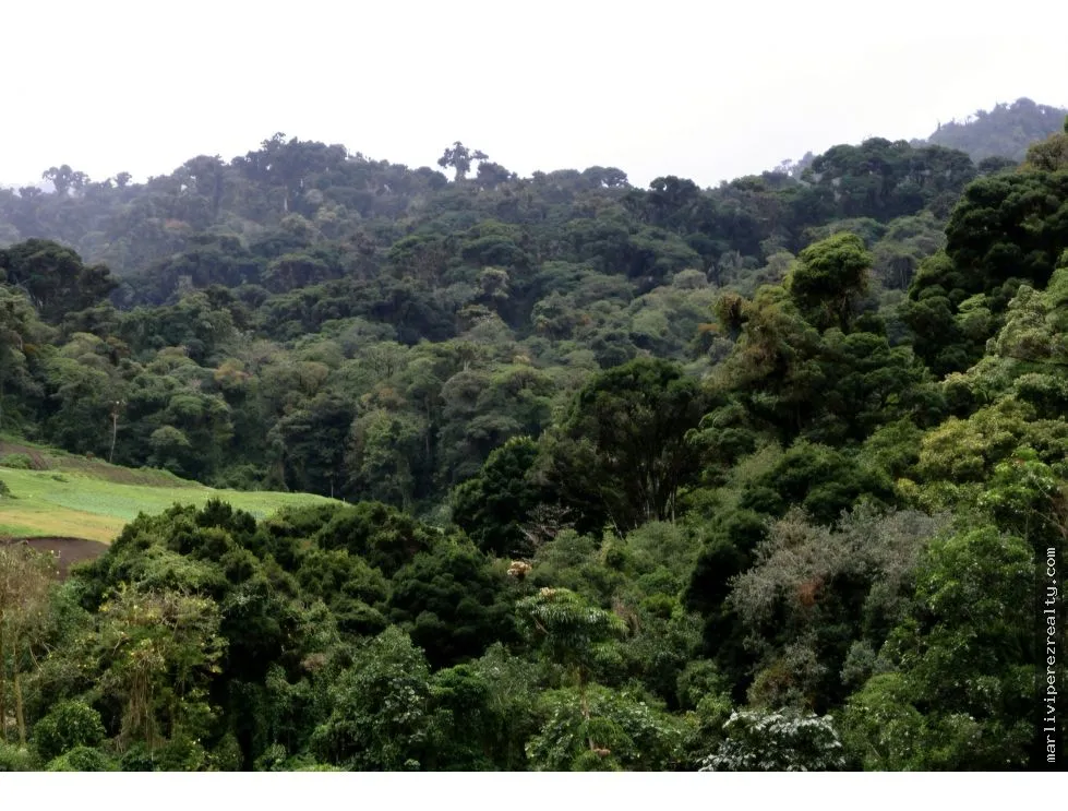 VENTA DE TERRENO PARA INVERSION