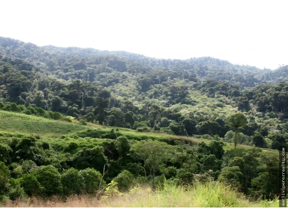 VENTA DE TERRENO PARA INVERSION